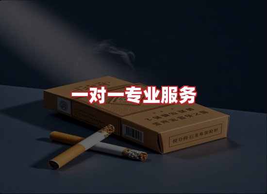 专业团队